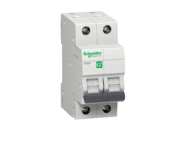 Screenshot 2025-02-26 152142